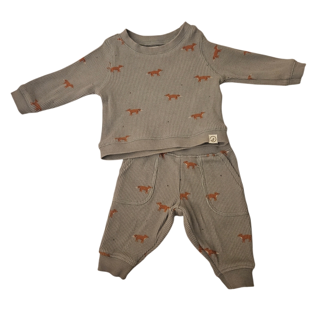 Carter’s Baby Set Neutral Dino Outfit Gray Orange 2pc